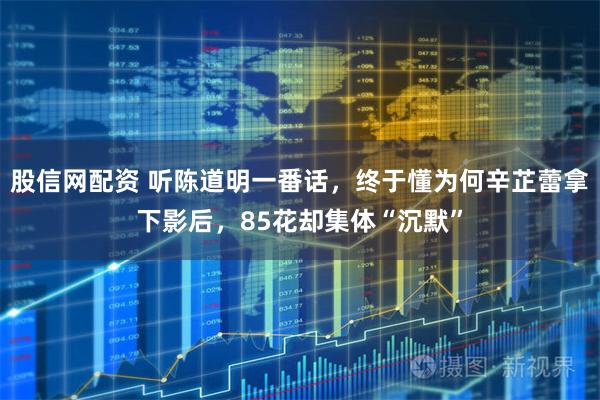 股信网配资 听陈道明一番话，终于懂为何辛芷蕾拿下影后，85花却集体“沉默”