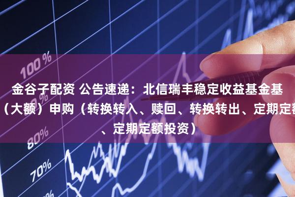 金谷子配资 公告速递：北信瑞丰稳定收益基金基金暂停（大额）申购（转换转入、赎回、转换转出、定期定额投资）